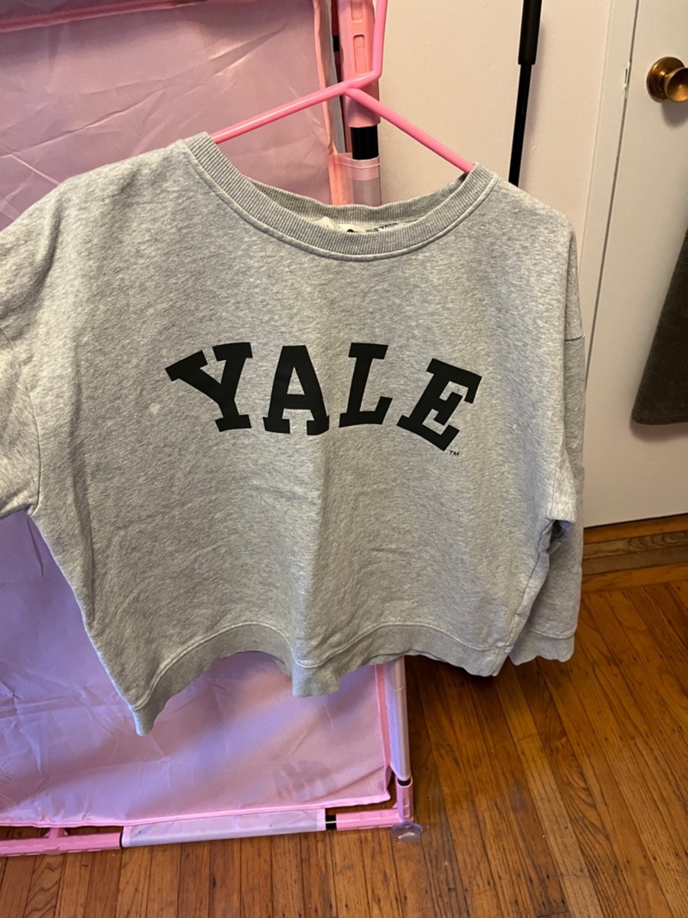 H&M Gray Cropped Yale Sweatshirt with Black Logo